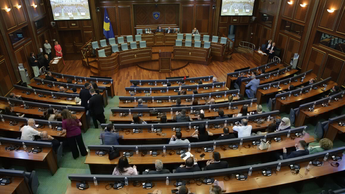 Konjufca e pranon se VV po e paguan çmimin për shkak të gjuhës së Kurtit në fushatë