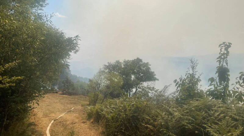 Mbi 61 vatra zjarri brenda 12 orëve në Kosovë, nëntë ende aktive