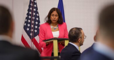 Prattipati: Mosformimi i institucioneve mund t’i largojë kompanitë amerikane nga Kosova
