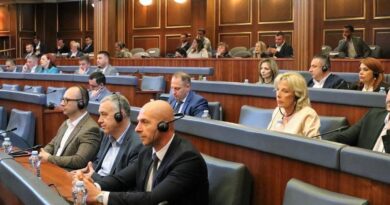 Lista Serbe ankohet në Kushtetuese për nënkryetarin