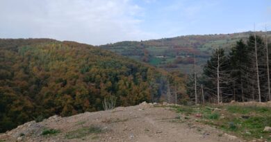 Dyshime për varr masiv, nesër inspektime në një lokacion afër Novi Pazarit