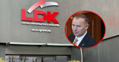 LDK reagon për incidentin e Zemajt me qytetarin: U sulmua fizikisht, akt i papranueshëm- cenim i sigurisë personale