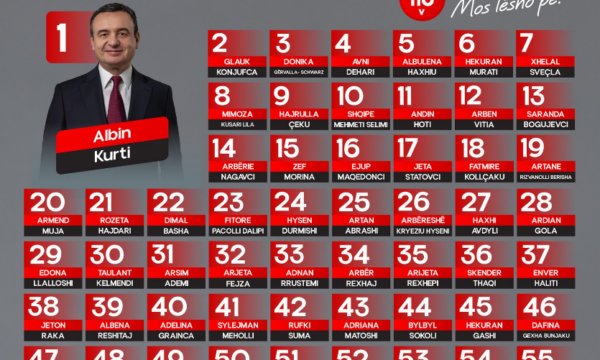 VV publikon listën e kandidatëve për deputetë