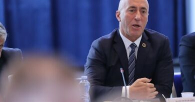Haradinaj: Në kohë lufte diaspora ishte hambari i Kosovës, pas luftës ka qenë me ne në çdo hap të rindërtimit