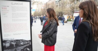 Kërkohet dorëheqja e Albulena Haxhiut pasi Kuvendi e financoi ekspozitën me gabime të Shkëlzen Gashit