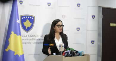 Jehona Lushaku-Sadriu: Qasja e VV-së rrugë njëkahëshe, që çon kah zgjedhjet e panevojshme