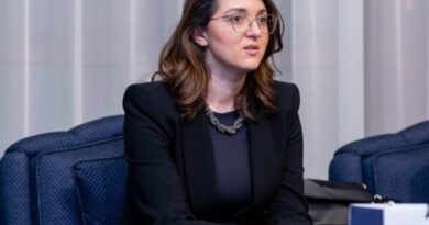 PDK e fajësoi Kurtin për situatën, deputetja e VV-së: Po duan zgjedhje, kështu dëmi për vendin është më i madh