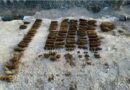 FSK, Policia dhe KFOR-i largojnë 91 predha të Luftës së Dytë Botërore në Vushtrri