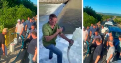 Prodhuesit derdhin qumështin në lumë, paralajmërojnë protesta: AUV t’i publikojë analizat, jemi lodhë, boll më