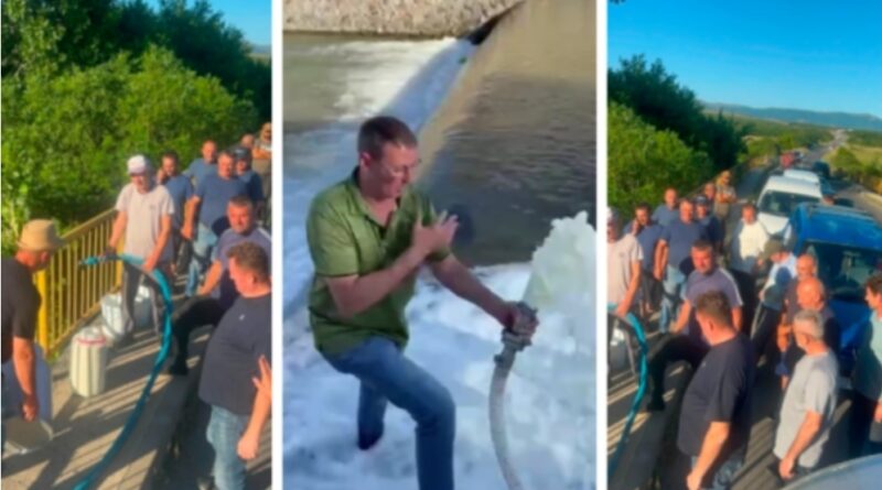 Prodhuesit derdhin qumështin në lumë, paralajmërojnë protesta: AUV t’i publikojë analizat, jemi lodhë, boll më