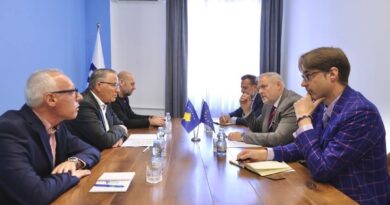 Hamza pret eurodeputetin Terras: Institucionet funksionale dhe rikthimi i besimit të partnerëve, prioritet për Kosovën