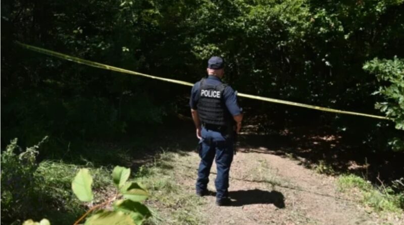 RTK raporton duke u thirrur në burime: Gjashtë trupa janë gjetur gjatë gërmimeve në Zubin Potok