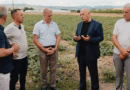 Oferta e Ardian Gjinit për qeverinë merr përkrahjen e bujqve: Kërkohet rritja e pragut të TVSH-së dhe tatimi në tokën e punuar